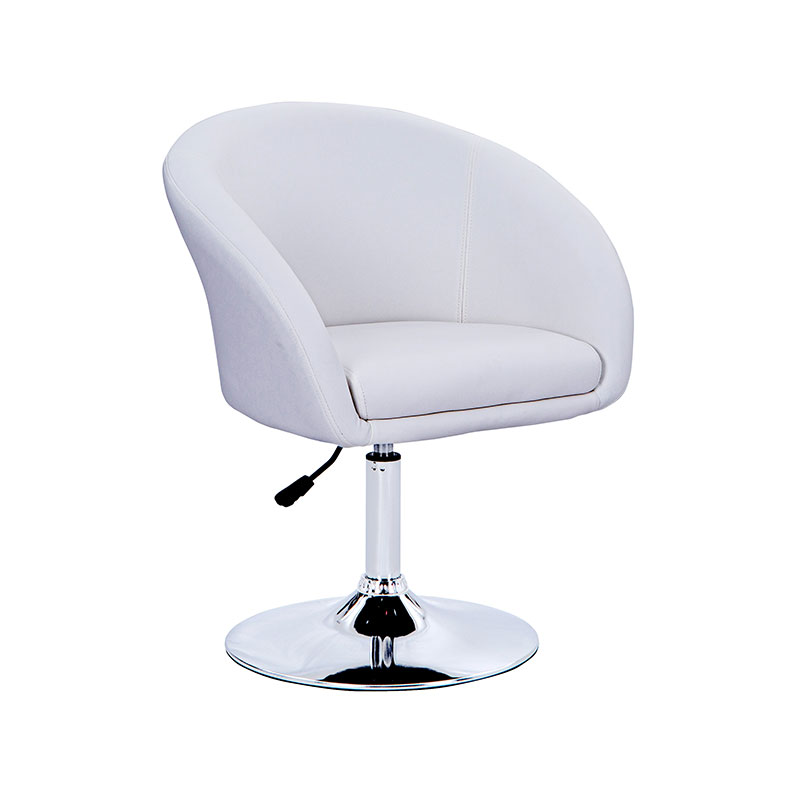 HZ6015BK / HZ6015GY / HZ615WH Height adjustable salon chair with back
