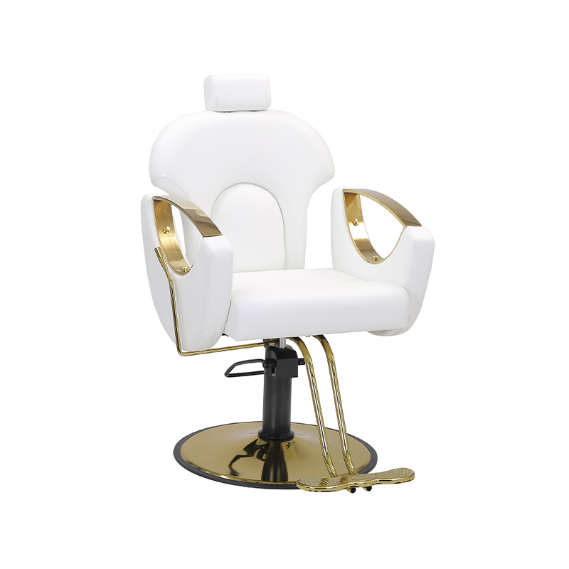 HZ8765BK / HZ8765H / HZ8765WG / HZ8765PK / HZ8765 Salon chair reclining barber hair chair