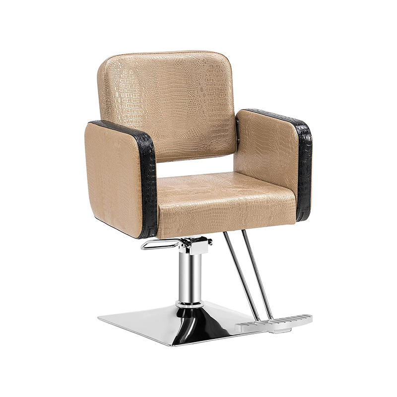 HZ88103 Purple professional hairdressing styling chair
